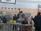 DSC00346