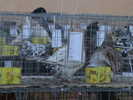 DSC00251