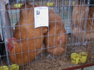 DSC00255