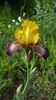 20170509_074959(0)