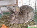10898229_EMZPRLIAH