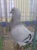 10898377_KWBGHTQIU