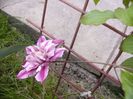 P1310289
