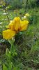 20170511_082046(0)