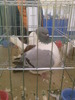 10893238_ZMBNMYYUQ