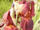 P1310432