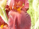 P1310435