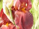 P1310436