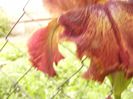 P1310533