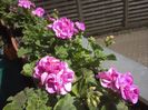 WIN_20170513_141736