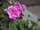 WIN_20170513_141920