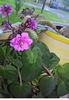 IMG-20170513-WA0056
