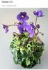 IMG-20170513-WA0051