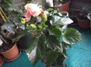 WIN_20170514_091719