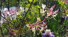 20170515_095425(0)
