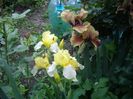 IMGP0370