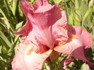 P1320389