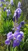 20170517_080636(0)