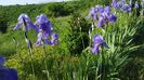 20170517_080418(0)