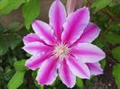 20170516_192148(0)