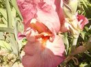 P1320837