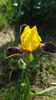 20170517_105158(0)