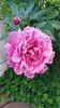 IMG-20170519-WA0011