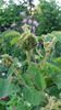 IMG-20170519-WA0018