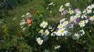 20170520_111900(0)