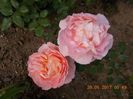 abraham darby