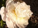 P1330154
