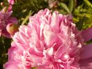 P1330206