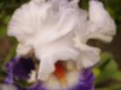 P1330324