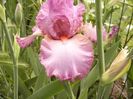 P1330442