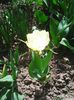 Photo0034