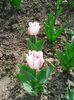 Photo0037