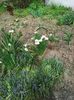 Photo0040