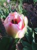Photo0047