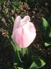 Photo0048