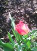 Photo0058