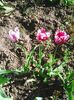 Photo0059
