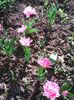 Photo0060