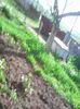 Photo0061