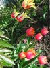Photo0063