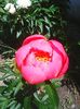 Photo0070