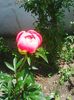 Photo0071