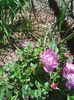 Photo0076