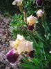Photo0079