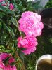 Photo0084