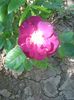 Photo0097